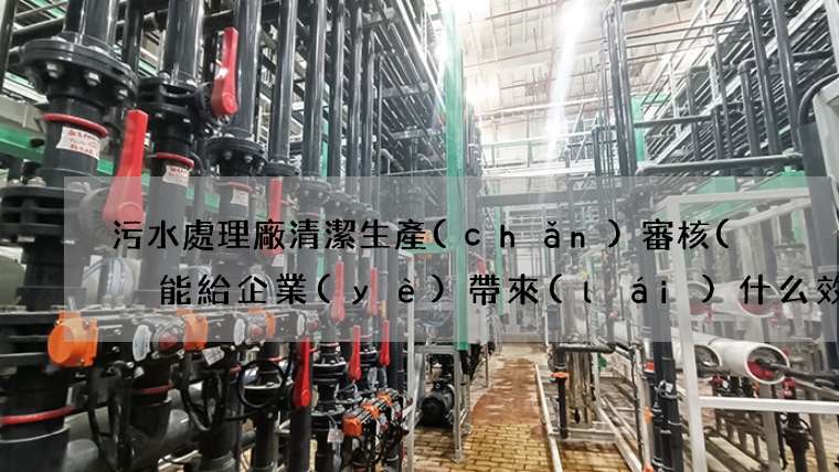 污水處理廠清潔生產(chǎn)審核(  能給企業(yè)帶來(lái)什么效益)
